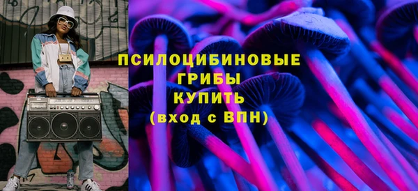 прущие грибы Алзамай