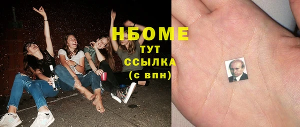 прущие грибы Алзамай