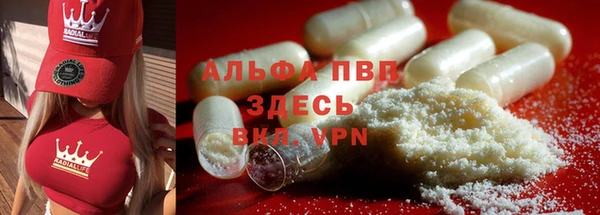 стаф Абинск