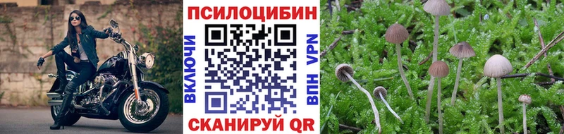 Псилоцибиновые грибы мухоморы  сколько стоит  Димитровград 