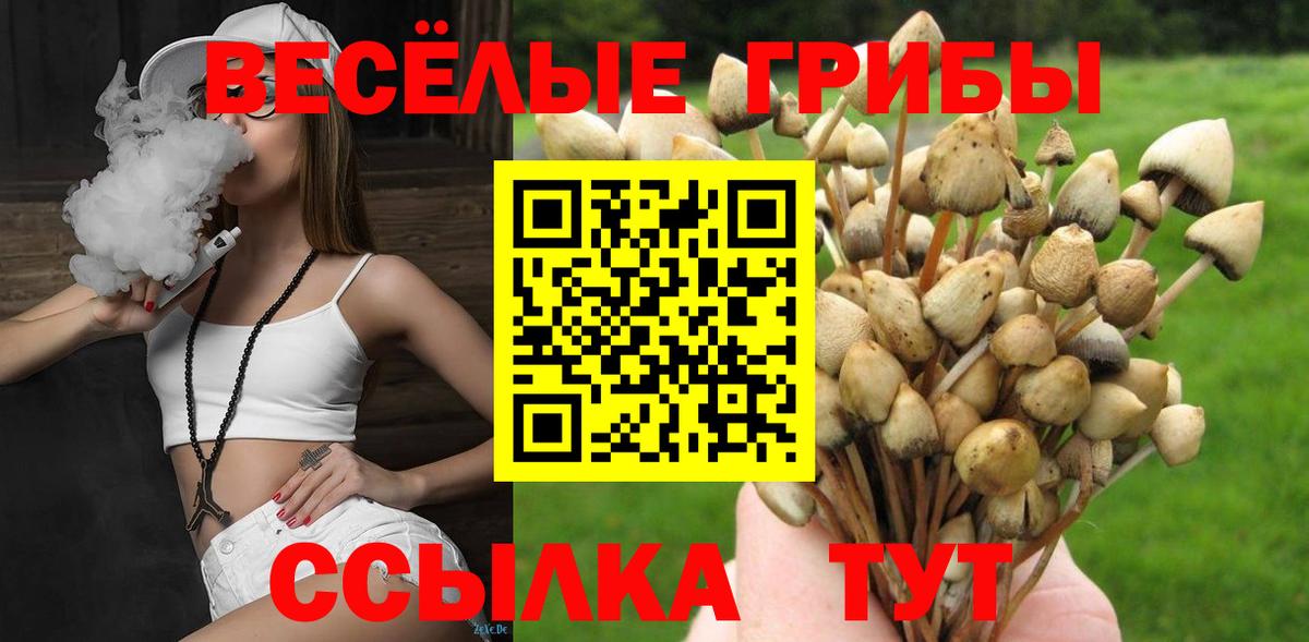 Псилоцибиновые грибы прущие грибы Димитровград