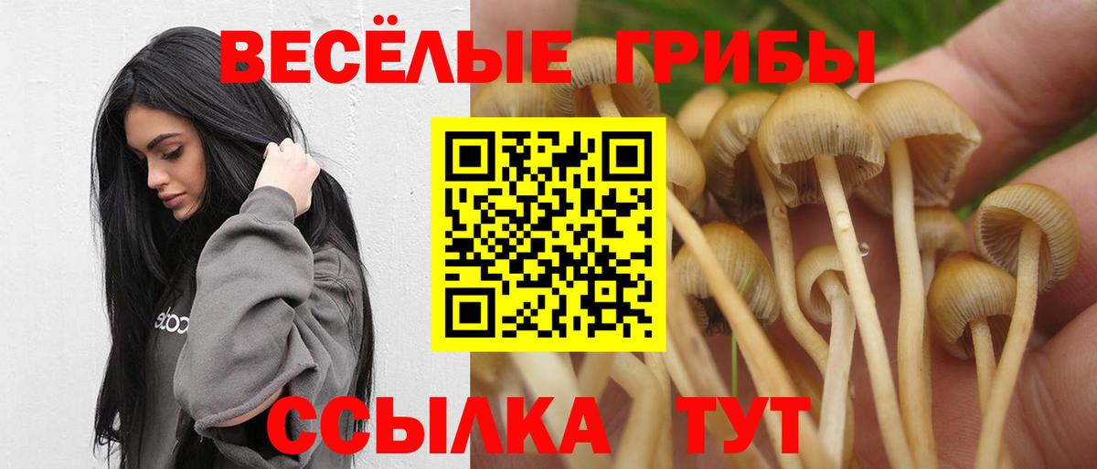 Димитровград  Галлюциногенные грибы мухоморы  закладка  Вход с VPN 
