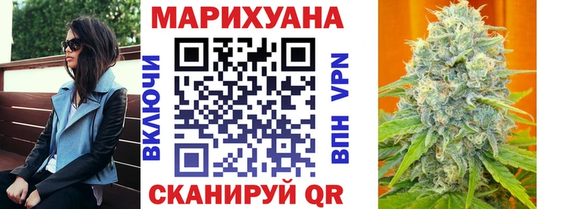 Конопля гибрид Димитровград