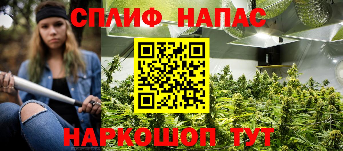Вейп ТГК Димитровград
